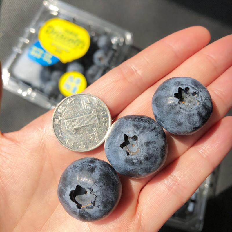云南怡颗莓Driscoll’s蓝莓王新鲜兰莓鲜果4盒当季限量超大果顺3高性价比高么？