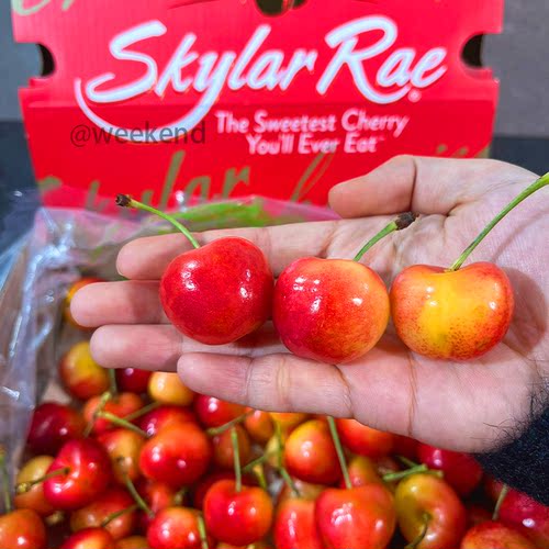 金车厘子斯凯拉雷skylarrae