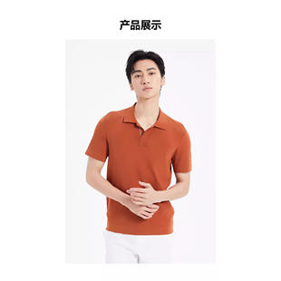 短袖 针织翻领POLO衫 T恤男 舒适透气亲肤修身 Q5XTX5191S利家夏新款