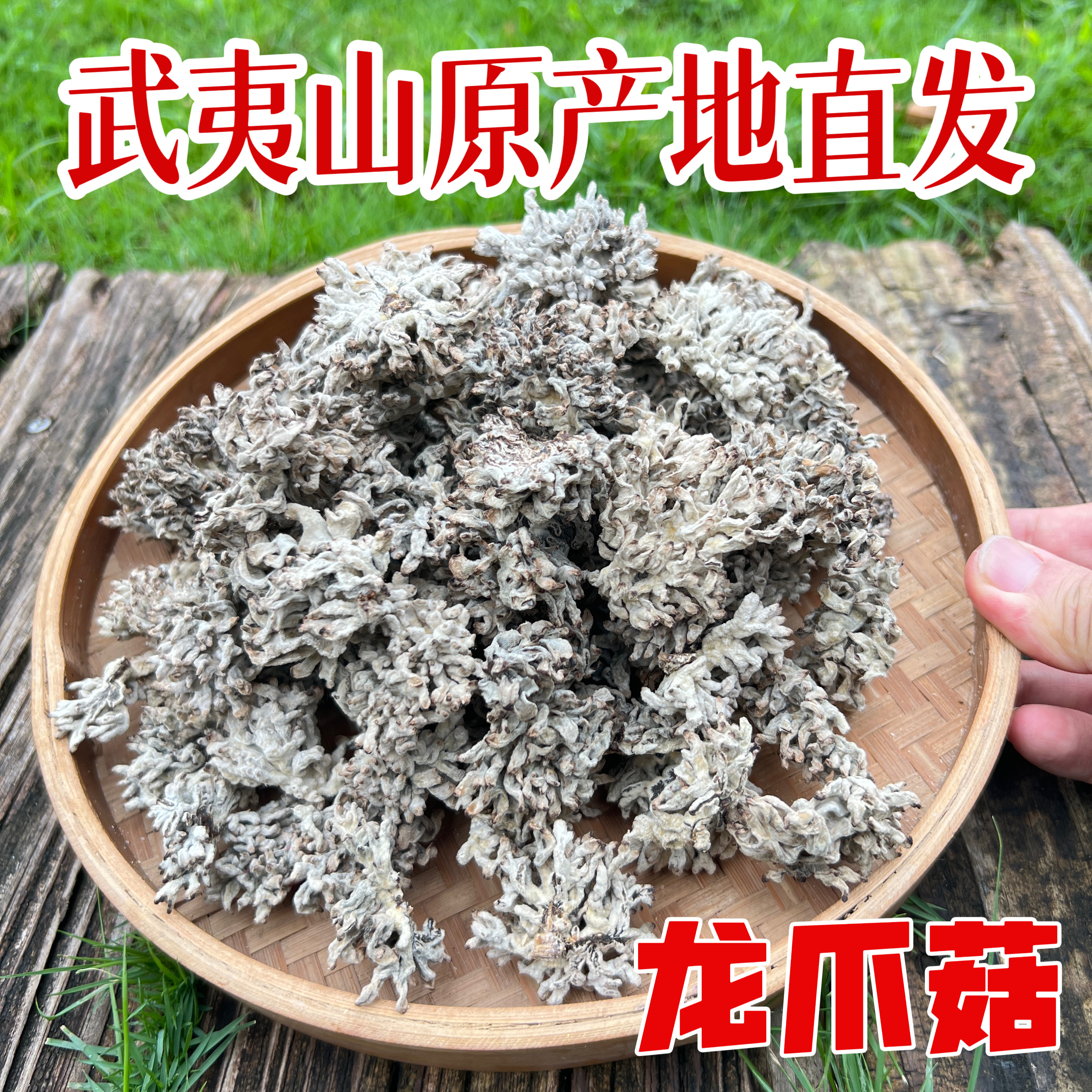 武夷山特产龙爪菇干货特级龙爪菌香菇类