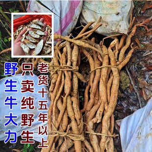 野生牛大力500g粉质大力薯干货中药材五指毛桃土茯苓杜仲巴戟泡酒