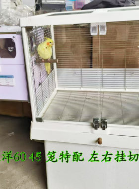 达洋特配竖式自动通风保温繁殖箱