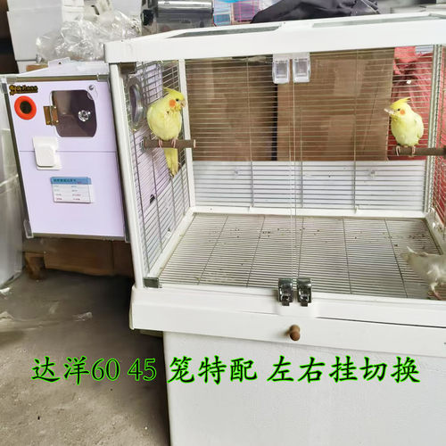 达洋特配竖式自动通风保温繁殖箱