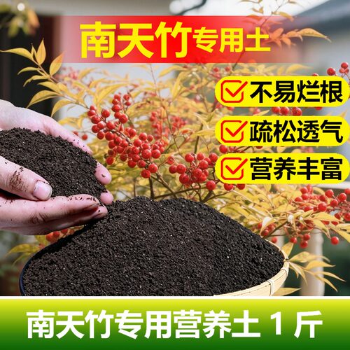 南天竹专用土料红叶生长肥营养土结果增色变红发新芽长新种植家用