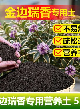 金边瑞香专用土料养殖盆栽土壤养护开花肥营养土种植肥有机肥家用