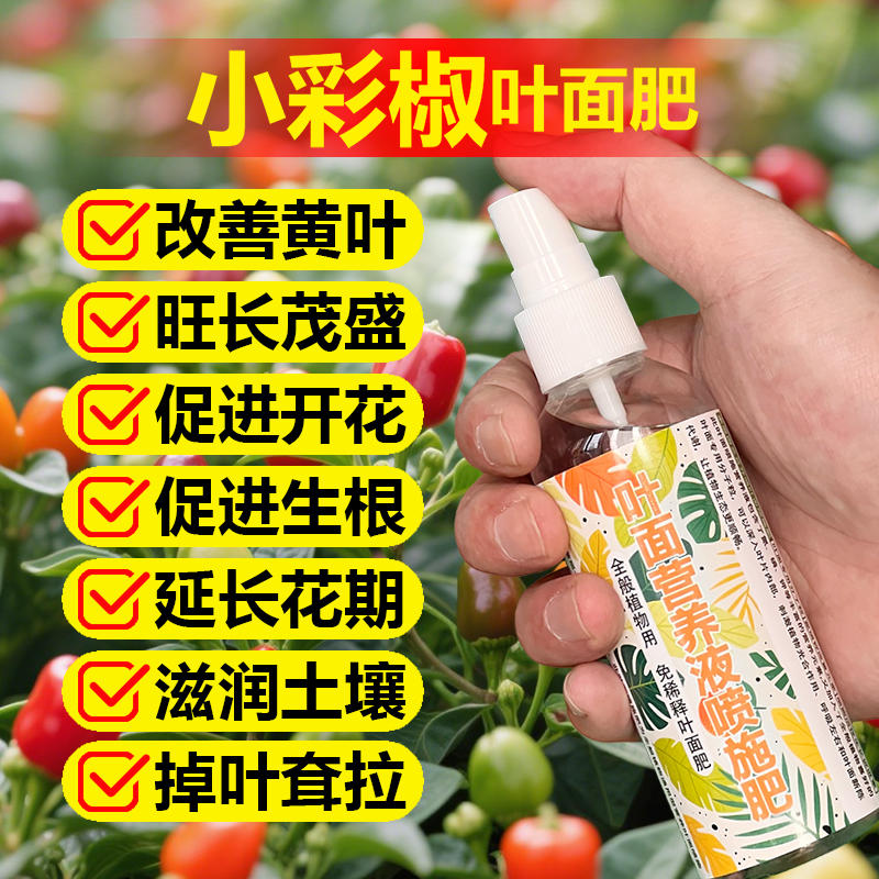 小彩椒专用肥料盆栽植物五彩椒小苗种植辣椒树土培营养液有机肥料