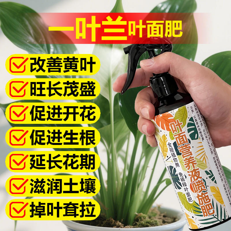 一叶兰专用肥料盆栽绿植物土培水培营养液叶面肥氮磷钾水溶化肥料图片