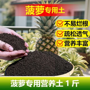 菠萝种植专用土料盆栽植物枯黄营养土水培花卉水养下塌掉叶子家用