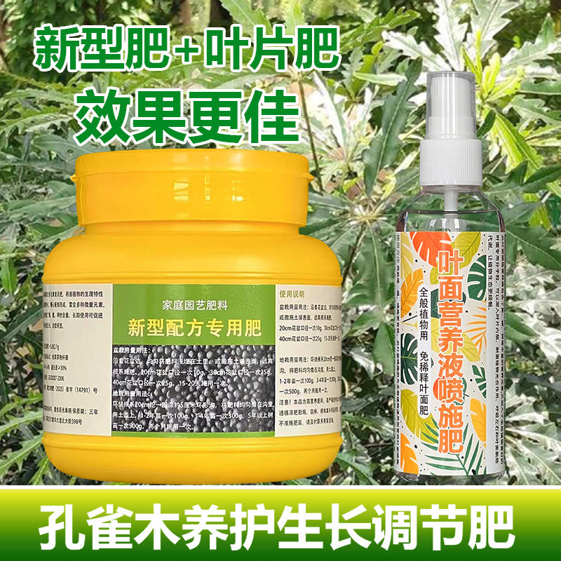 孔雀木专用肥料小苗绿植盆栽营养液旺长茂盛促发新芽长新叶面肥料