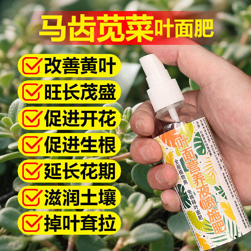 马齿苋专用肥料盆栽专用土花苗营养液开花长花苞发芽长新叶面肥料