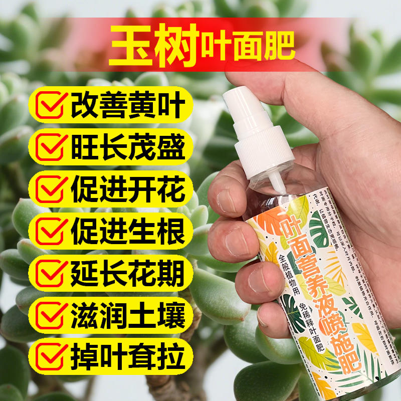 玉树专用肥料老桩多肉盆景花肥土壤营养液叶面肥有机肥水溶化肥料