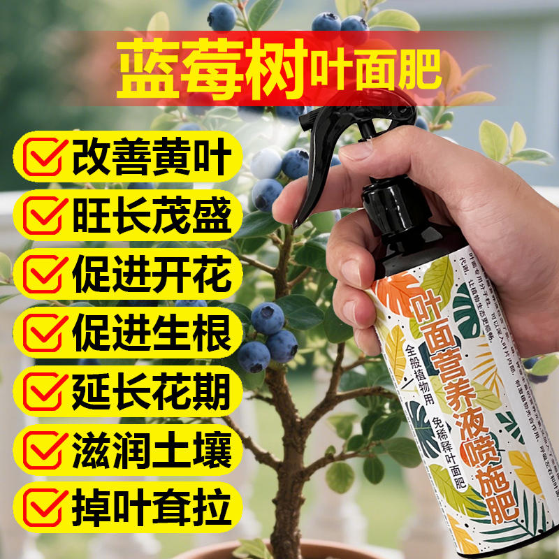 蓝莓树专用肥料阳台盆栽营养液树苗果树保果结果高产量促开花肥料