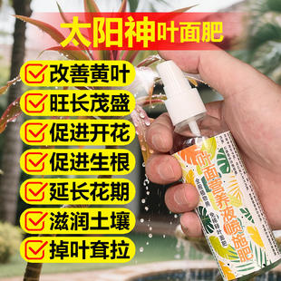 太阳神专用肥料盆栽绿植密叶朱焦土营养液叶面肥叶面肥水溶化肥料