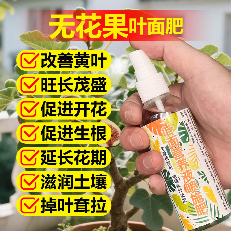 无花果专用肥料种植无花果树苗营养液叶面肥发黄锈斑枯萎卷曲肥料