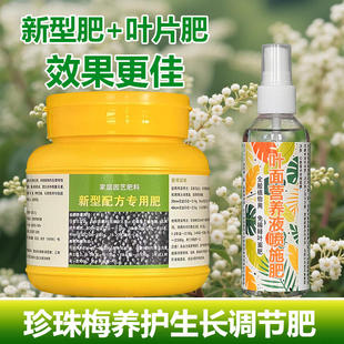 珍珠梅专用肥料盆景营养液叶面肥叶面肥有机肥复合土壤水溶化肥料