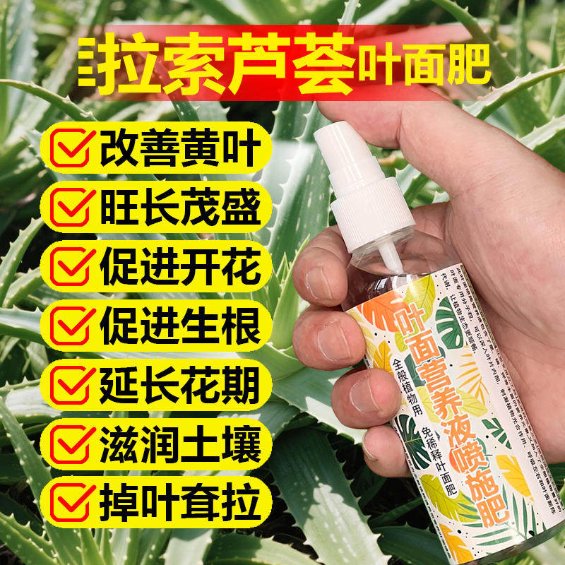 库拉索芦荟专用肥料土营养液发黄枯萎叶子发黑变软蔫干瘪叶面肥料,鲜花速递/花卉仿真/绿植园艺,家庭园艺肥料,淘宝优惠券,粉丝福利购,淘宝优惠卷