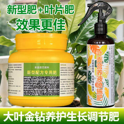 大叶金钻专用肥料盆栽植物促长新叶营养液绿公主蔓绿绒养殖花肥料