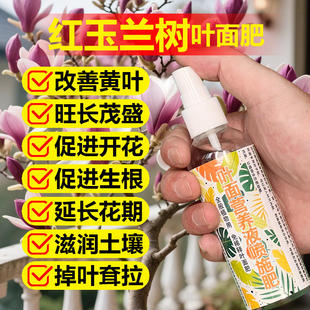 红玉兰树专用肥料盆栽树苗发芽长叶花卉大树营养液紫玉兰花肥肥料