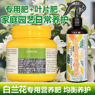 白兰花专用肥叶黑斑枯黄落叶焦尖粉病白玉黄角果兰花肥营养液虫药