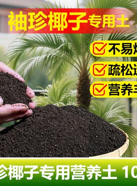 袖珍椰子专用土料袖珍椰子树土培水培盆栽营养土种植肥花卉土家用