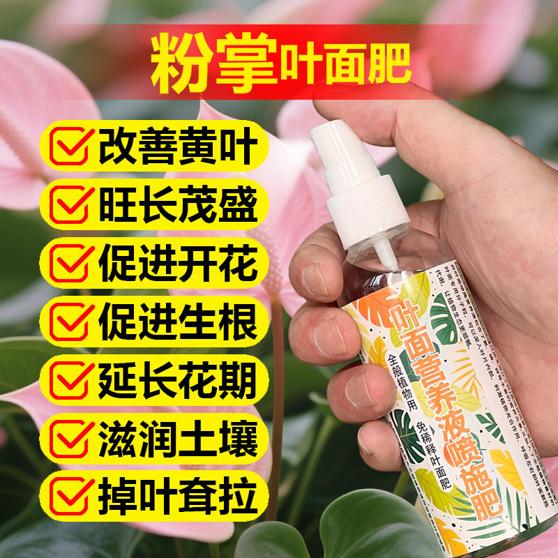 粉掌专用肥料室内盆栽植物养护营养液开花肥水培土培水溶化肥肥料