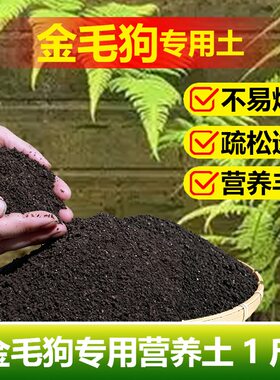 金毛狗专用土料绿植盆栽金鱼吊兰花肥营养土有机肥土培花卉土家用