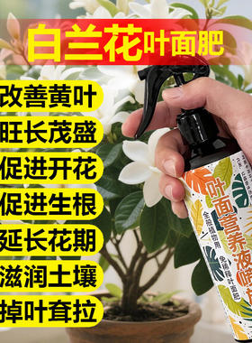 白兰花专用肥叶黑斑枯黄落叶焦尖粉病白玉黄角果兰花肥营养液虫药