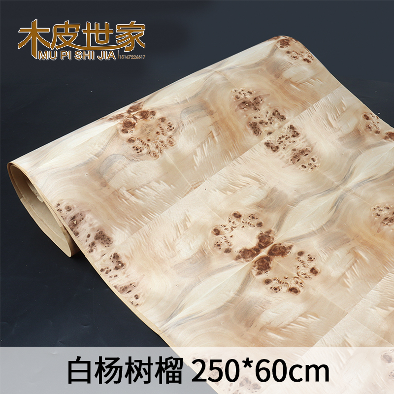 奢华家庭酒店装修珍贵白杨树