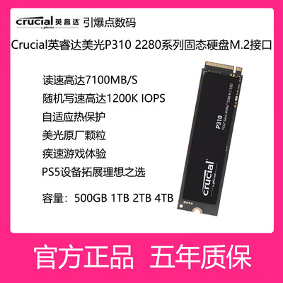 英睿达固态硬盘P3102280M.21T
