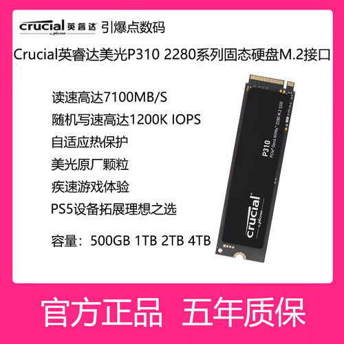 英睿达固态硬盘P3102280M.21T