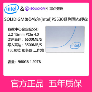 Intel/英特尔P5530系列服务器 工作站 企业级固态硬盘960G 1.92TB