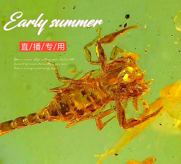 直播新款缅甸琥珀蜜蜡原石成品手串戒指项链手镯金蓝血泊虫珀其他