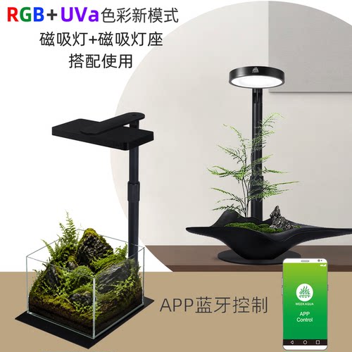 威尔康微景观灯造景水陆缸补光灯