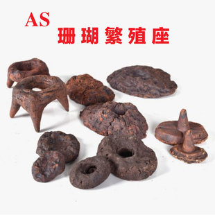 AS珊瑚基座繁殖座海缸造景石海水培菌生物石珊瑚礁石底托无污染种