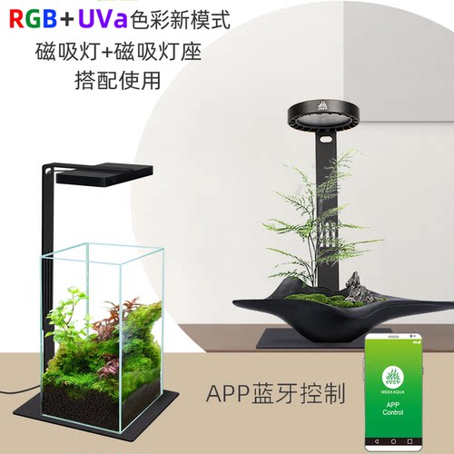 威尔康微景观灯造景水陆缸补光灯