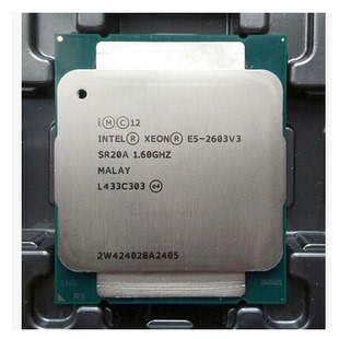 6核6线1.6G 版 正式 2011针 CPU 2603 至强XEON Intel英特尔