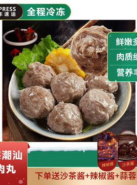 正宗潮味牛肉丸牛筋丸Q弹爆汁