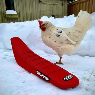 GUTS恒舰z300波速尔KTM极盗者华洋越野摩托车通用防滑防水坐垫皮