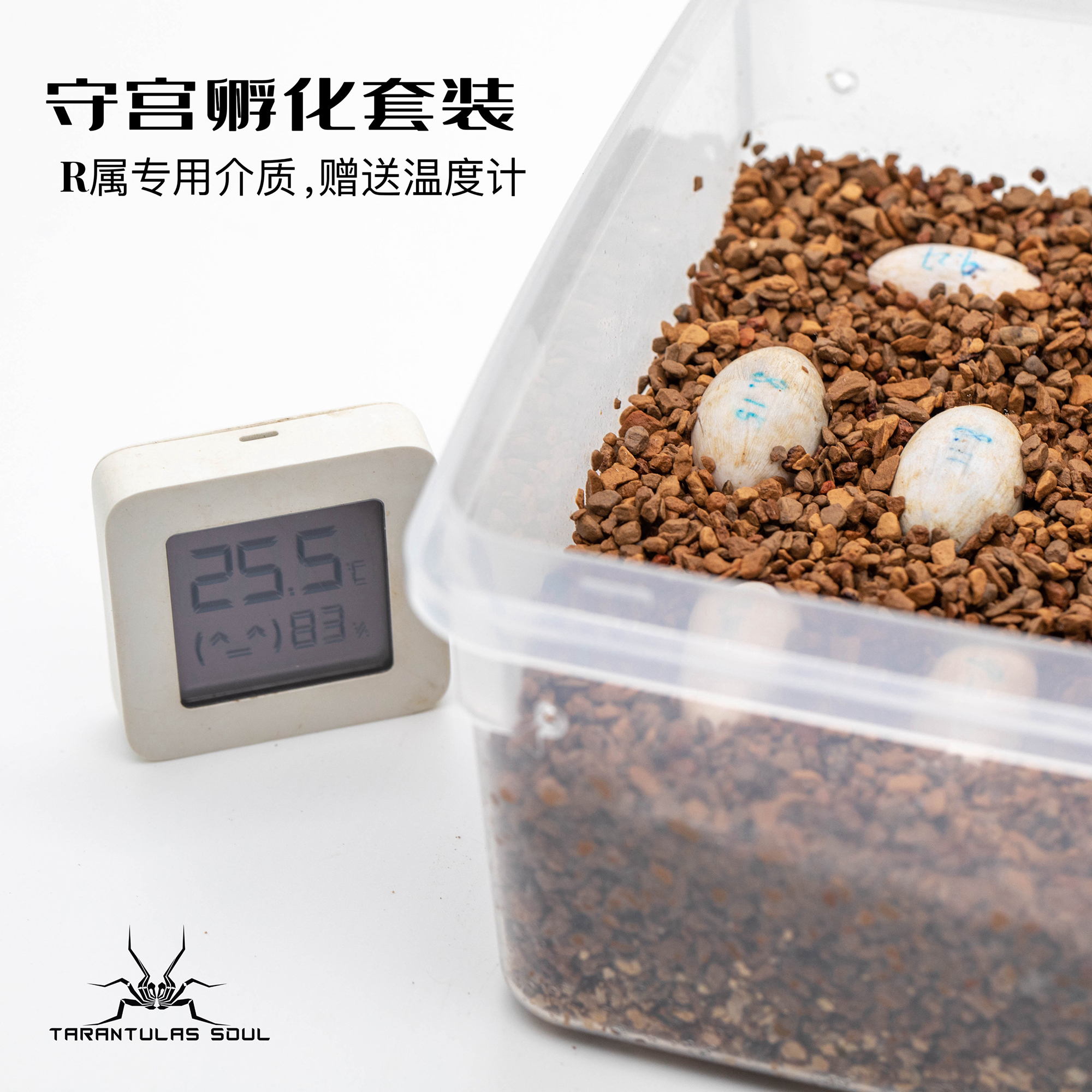 爬宠守宫孵化透气保湿R属专用