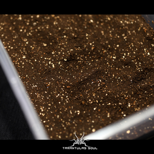 套装 蛭石470g左右 爬宠垫材蜘蛛垫材黑色雨林泥土 TS爬魂