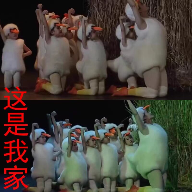 儿童小鸭子的家小鸭嘎嘎表演服装