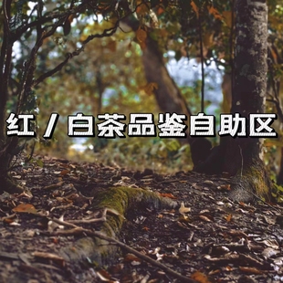 研吾茶事品鉴区/店铺在售/云南红茶/云南白茶/店铺满60元包邮