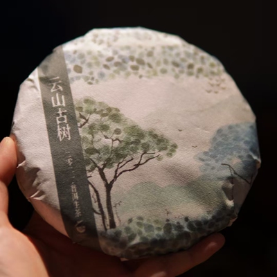 即将下架/2021年/普洱生茶/云山古树/200克饼/易武高山寨