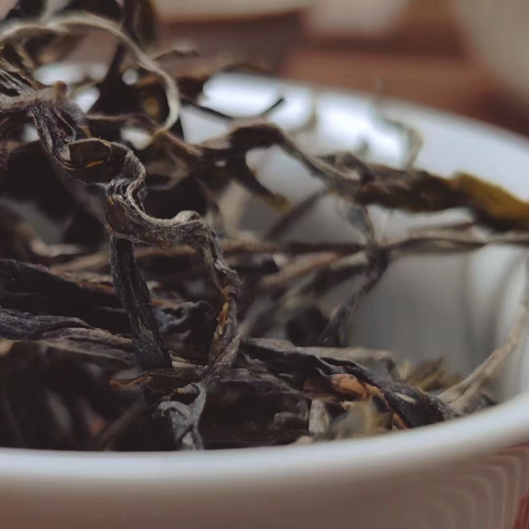 0802返场/普洱生茶/菜菜私房茶/2023年在南山/邦东/250克散茶