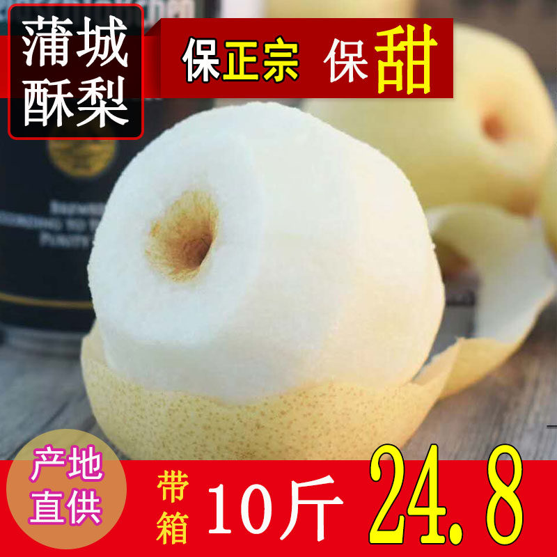 正宗陕西蒲城酥梨产地直供超级甜