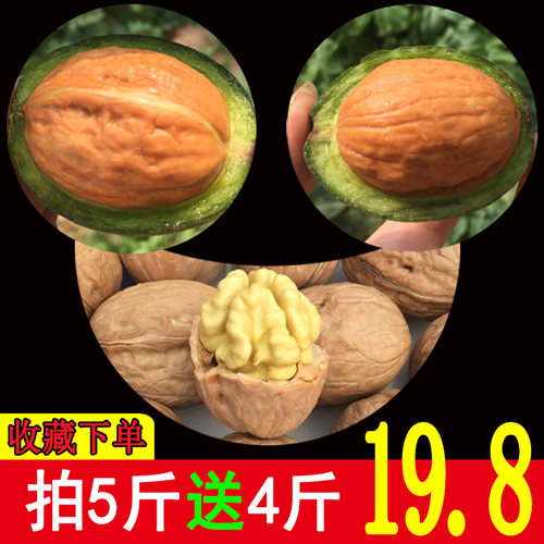 2026年新鲜湿核桃薄皮产地直供
