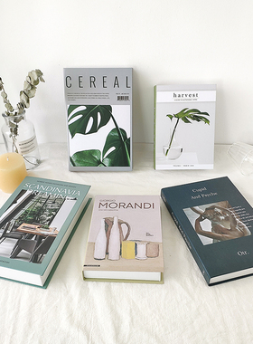 仿真书纸质装饰ins客厅等摆件