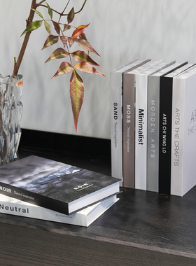 简约现代假书ins风装饰书摆件仿真书客厅装饰拍摄道具书摆设