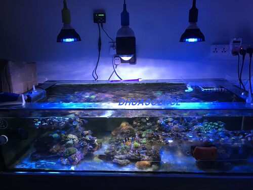 LED Marine Reef Aquarium Lamp for Saltwater Tank