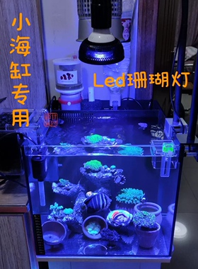 可定制颜色小海缸专用 LED珊瑚灯海水灯Par30 藻缸灯补光灯射灯